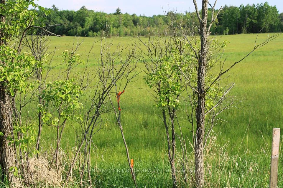 1521 Kilworthy Road Lot 2, Gravenhurst, On P0e 1g0