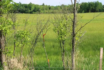 Vacant Land in Gravenhurst