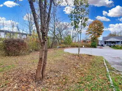 Detached in Niagara Falls