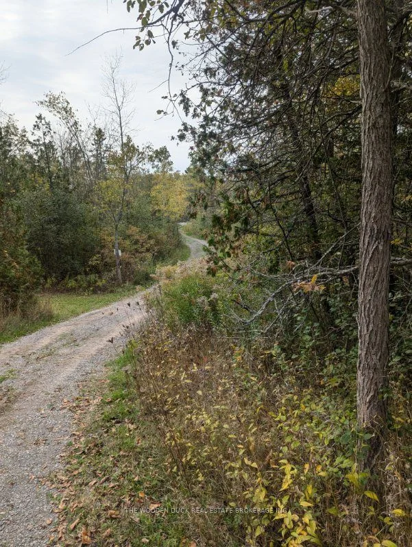 Vacant Land in Otonabee-South Monaghan