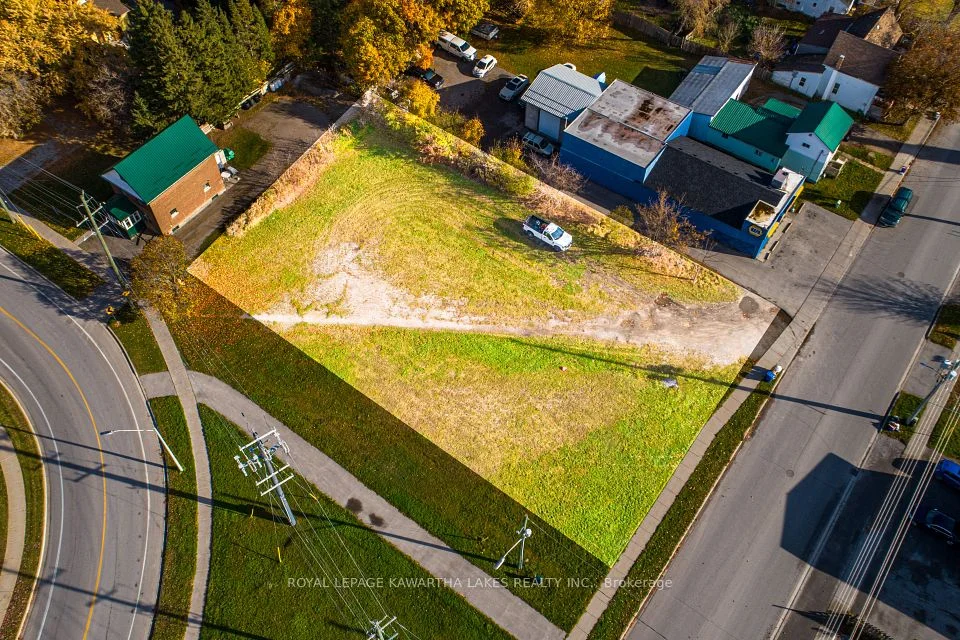 44 Victoria Avenue S, Kawartha Lakes, ON K9V 3E1