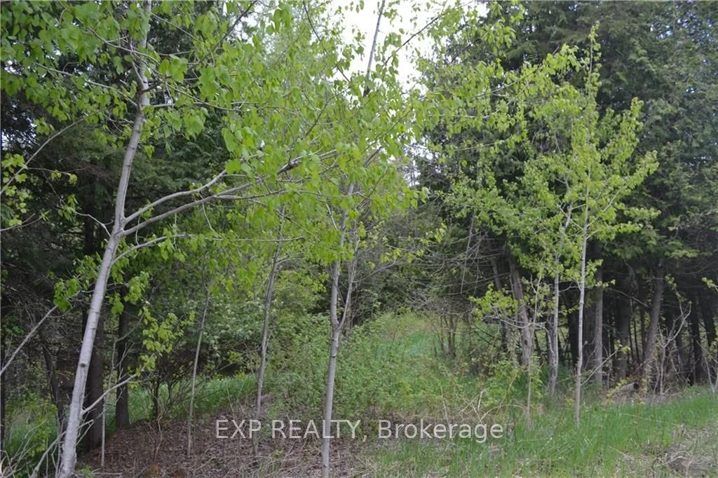00 WHELAN Road, Greater Madawaska, ON K7V 3Z7