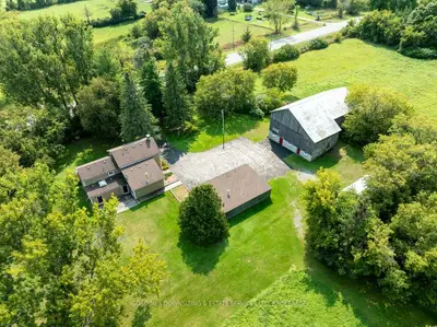 Detached in Loyalist