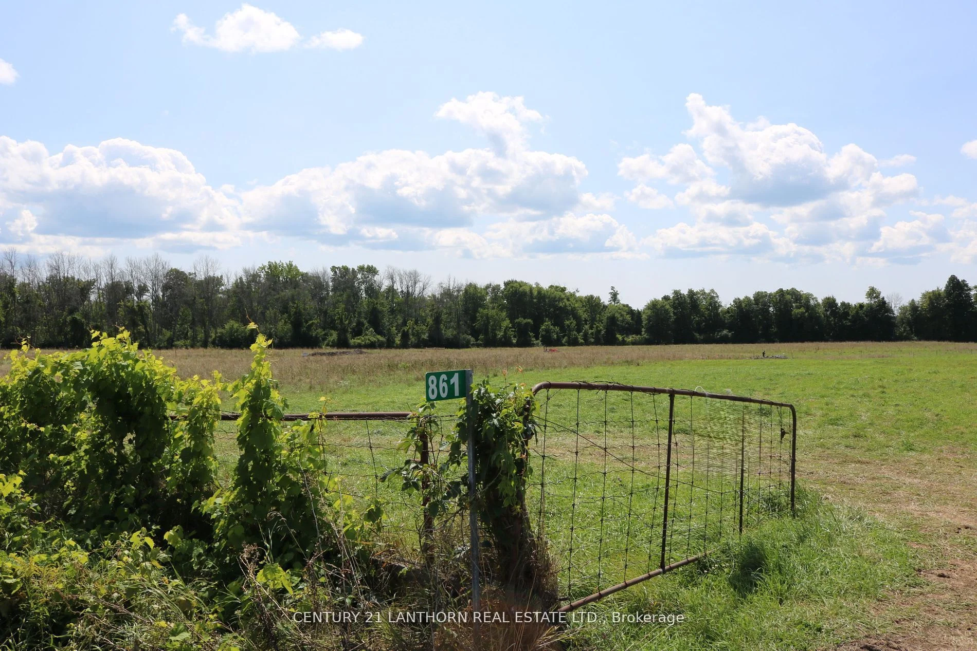 861 Fish Lake Road, Prince Edward County, On K0k 1w0