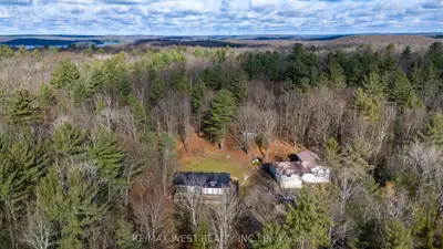 Detached in Lake of Bays