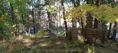 Vacant Land in Stone Mills