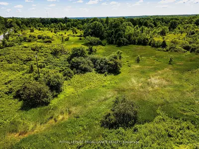 Vacant Land in Centre Hastings