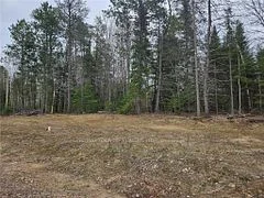 20 BIRCHVIEW Drive, Madawaska Valley, ON K0J 1B0