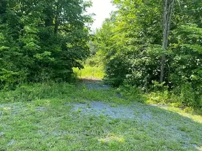 Vacant Land in North Stormont
