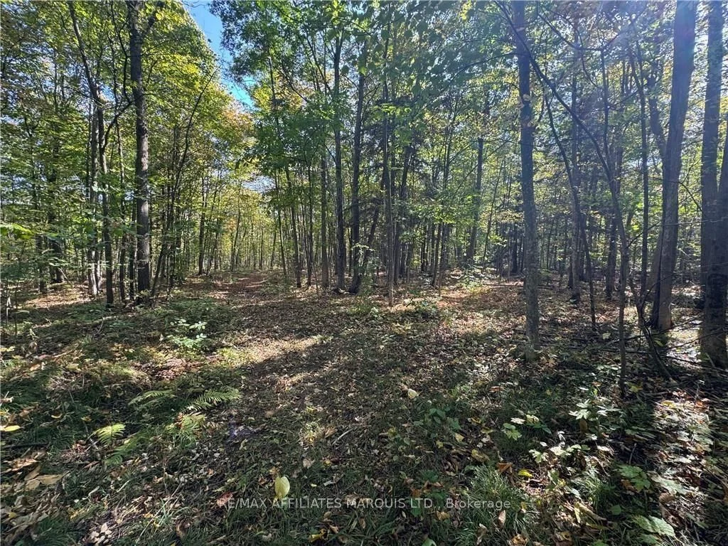 Lot BEAVERBROOK Road, South Glengarry, ON K0C 1S0