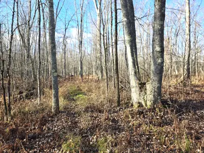 0 Enright Road, Tyendinaga, On K0k 3a0