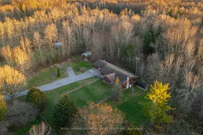 Farm in Kawartha Lakes