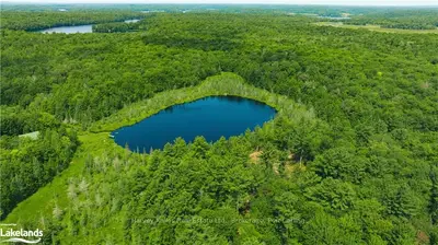 1156 Camel Lake Road, Muskoka Lakes, On P1l 1x4