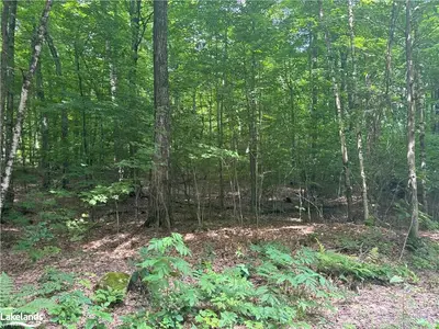 1 Anderson Rd Road, Highlands East, On K0l 2y0
