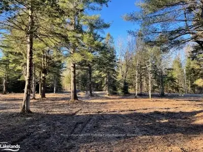 0 Miriam Drive, Bracebridge, On P1l 1x1
