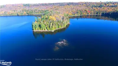 11045 Grace Lake - North Shore, Dysart Et Al, On, K0l 3c0