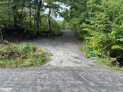 Vacant Land in Seguin