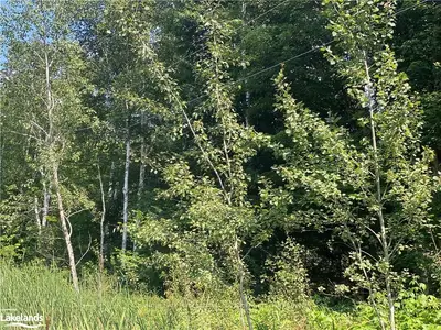 117, Lake Of Bays, On, P0b 1a0