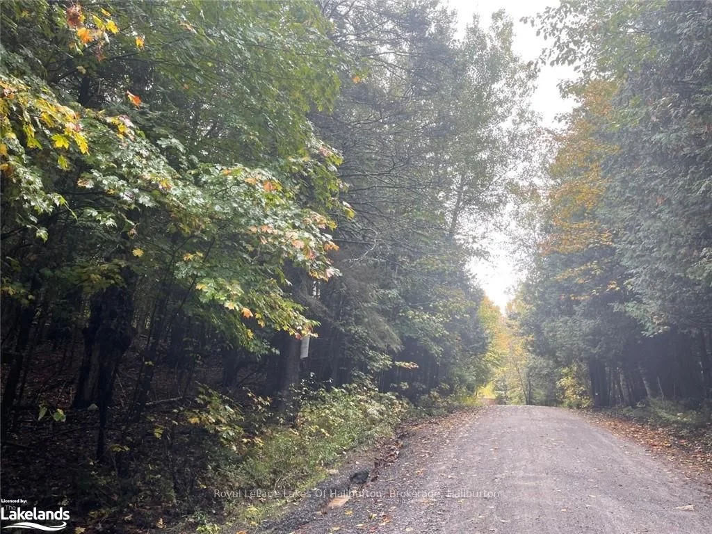 LOT 67 CHELSEA Lane, Algonquin Highlands, ON K0M 1S0