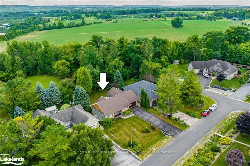 Detached in Blue Mountains
