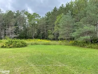 Vacant Land in Dysart et al