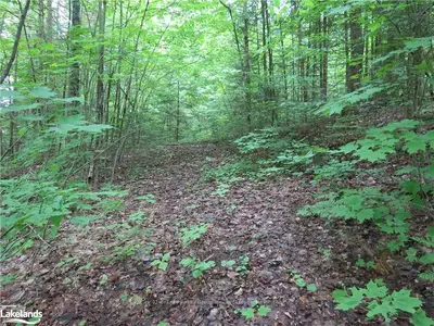 Vacant Land in Highlands East