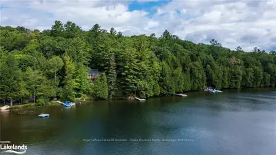 Detached in Lake of Bays