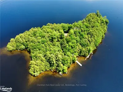 1 Cedar, Muskoka Lakes, On, P1p 1r2