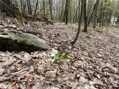 Lot 133 Brennan Circle, Huntsville, On P1h 2j2