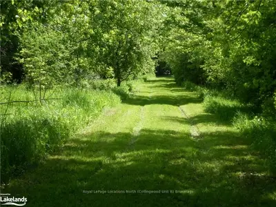 East Part Lot 2 Concession 3, Meaford, On, N4l 1w7