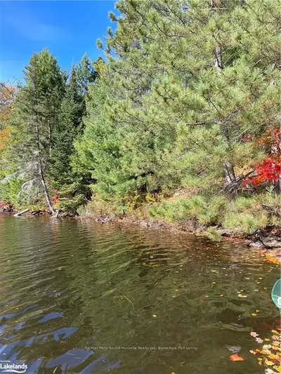 0 Pine Lake, Parry Sound Remote Area, On, P0h 1s0