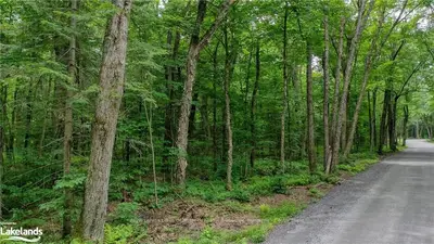 Vacant Land in Huntsville
