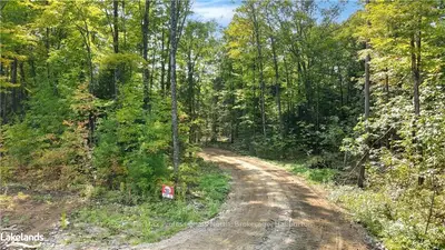 Vacant Land in Algonquin Highlands