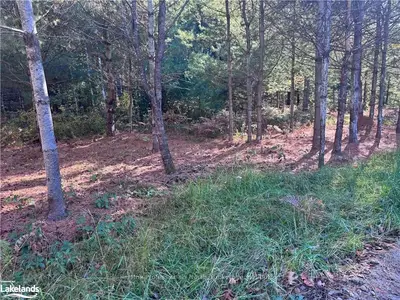 1081 Hawk Valley Road, Algonquin Highlands, On K0m 1j2