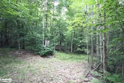1810 Doe Lake Road, Bracebridge, On P1p 1r3