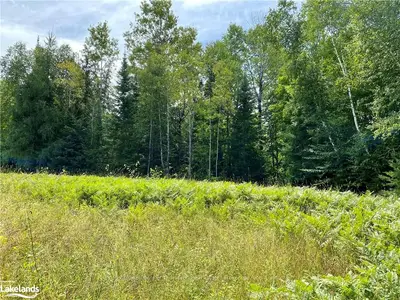 Lot 6-a 522, Parry Sound Remote Area, On P0h 1s0