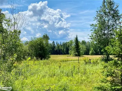 Lot 6-a 522, Parry Sound Remote Area, On P0h 1s0