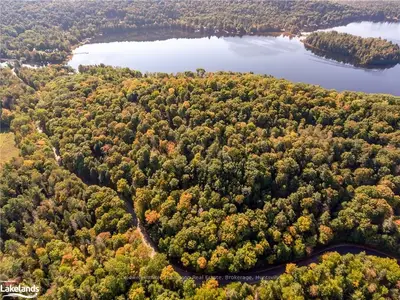 0 Bellwood Acres Road, Lake Of Bays, On P0a 1e0