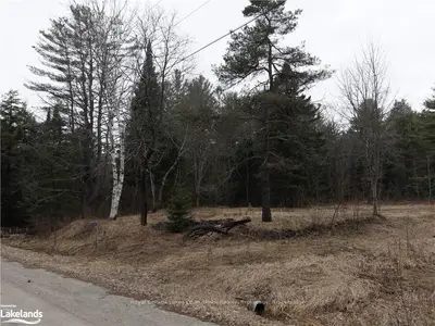 1061 Naismith Road, Bracebridge, On P1l 1x4