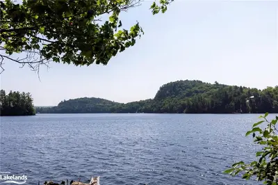 Detached in Huntsville