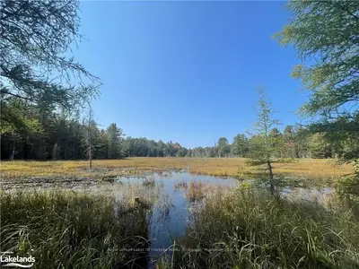 Vacant Land in Bracebridge