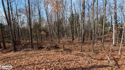 Lot 1 Tally Ho Winter Park Road, Lake Of Bays, On P1h 2e5