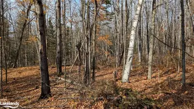 Lot 2 Tally Ho Winter Park Road, Lake Of Bays, On P1h 2e5
