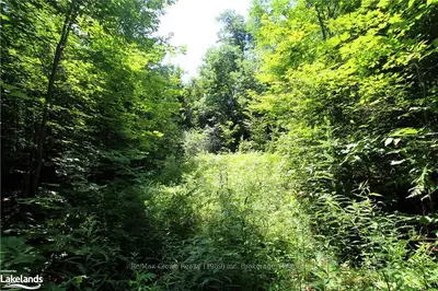 Vacant Land in Parry Sound Remote Area
