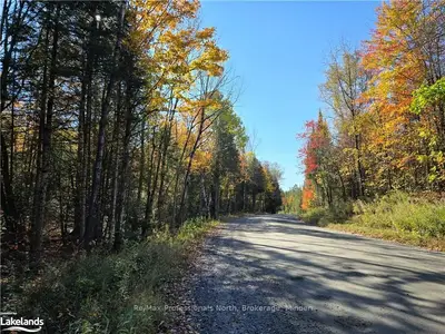 Vacant Land in Minden Hills