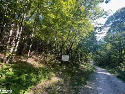Vacant Land in Highlands East