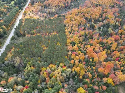 Vacant Land in Kawartha Lakes