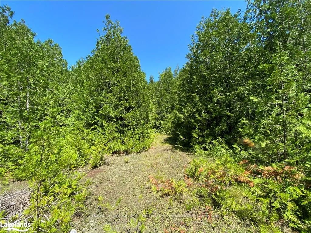 PART LOT 9 CONCESSION 14 OSPREY THE BLUE MOUNTAINS , Grey Highlands, ON N0H 2E0