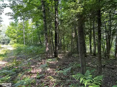 Lot 22 Frank Street, Magnetawan, On P0a 1p0