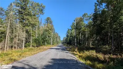Vacant Land in Huntsville